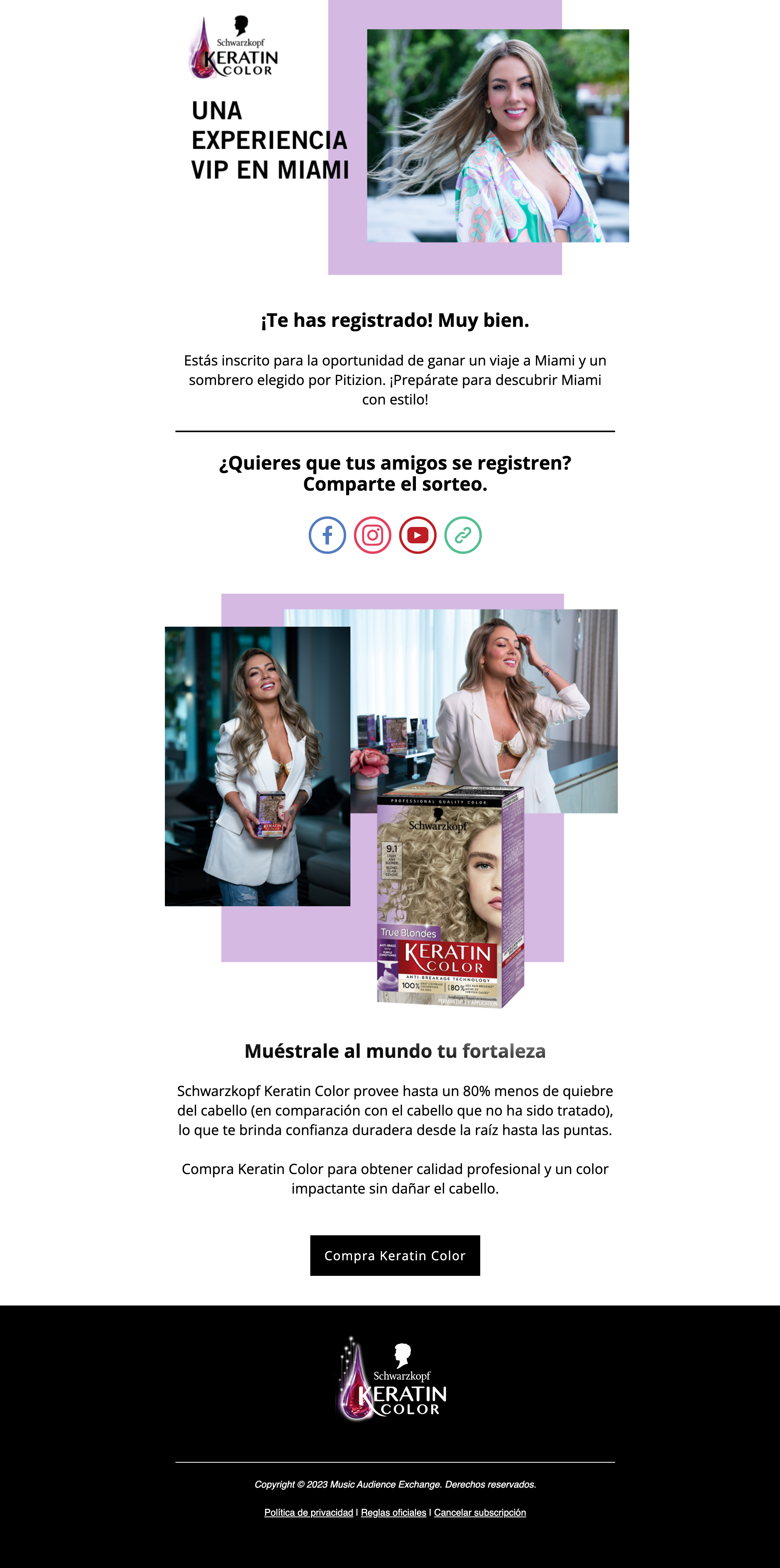 Schwarzkopf-Pitizion-Email